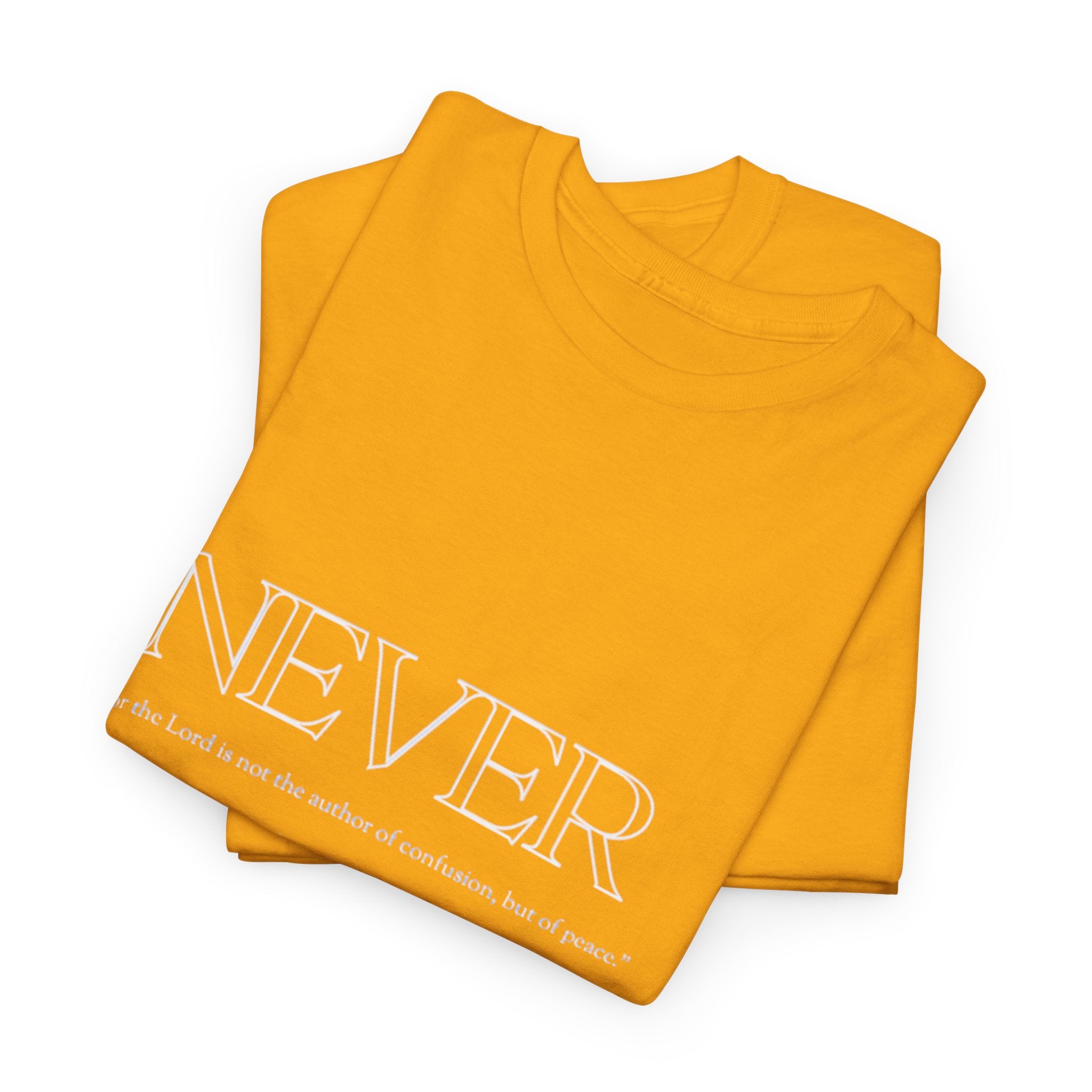 Never Bewildered Tee