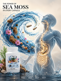 Limitless Vitality™ Sea Moss Complex (60 Capsules)